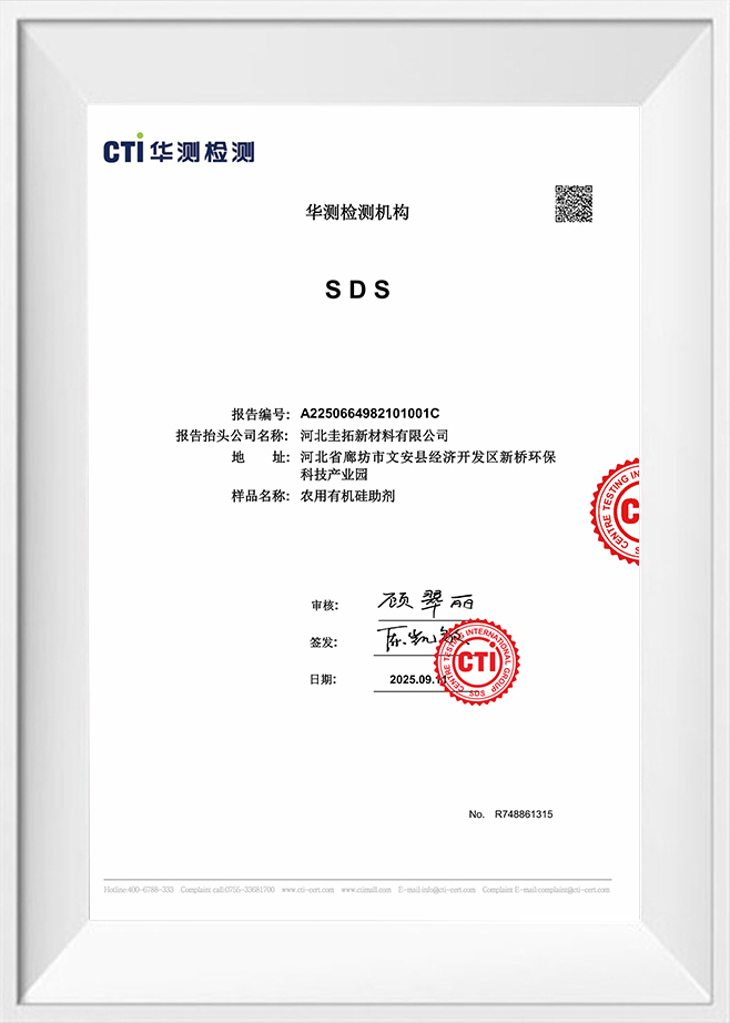 센터 테스팅 인터내셔널 그룹