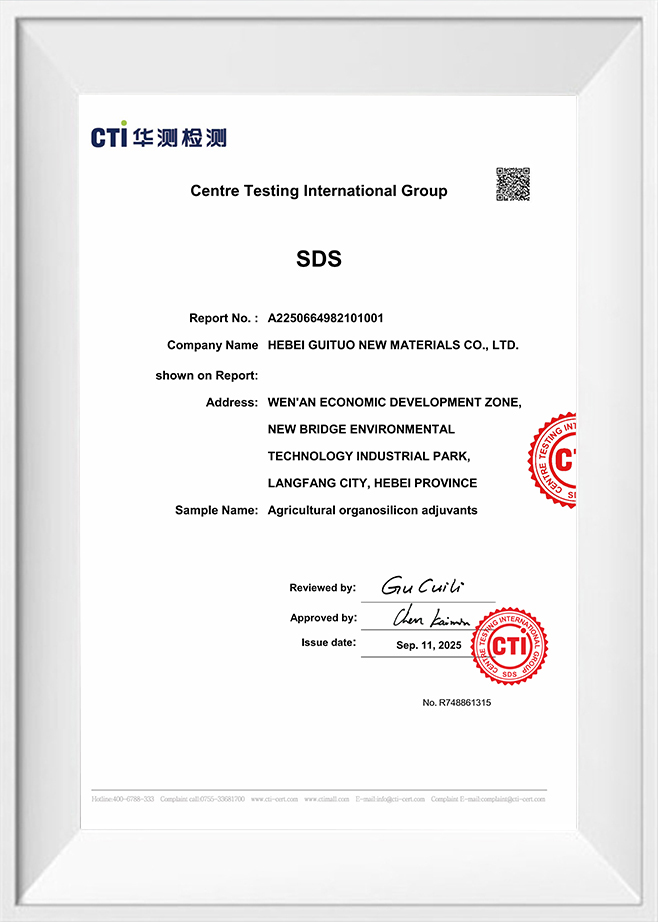 센터 테스팅 인터내셔널 그룹